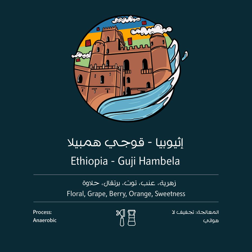 جوجي همبيلا تخمير لاهوائي-أثيوبيا